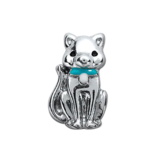 Cat with Blue Collar Charm