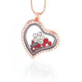 Floating Locket Necklace with Choice of 6 Charms and Matching Chain