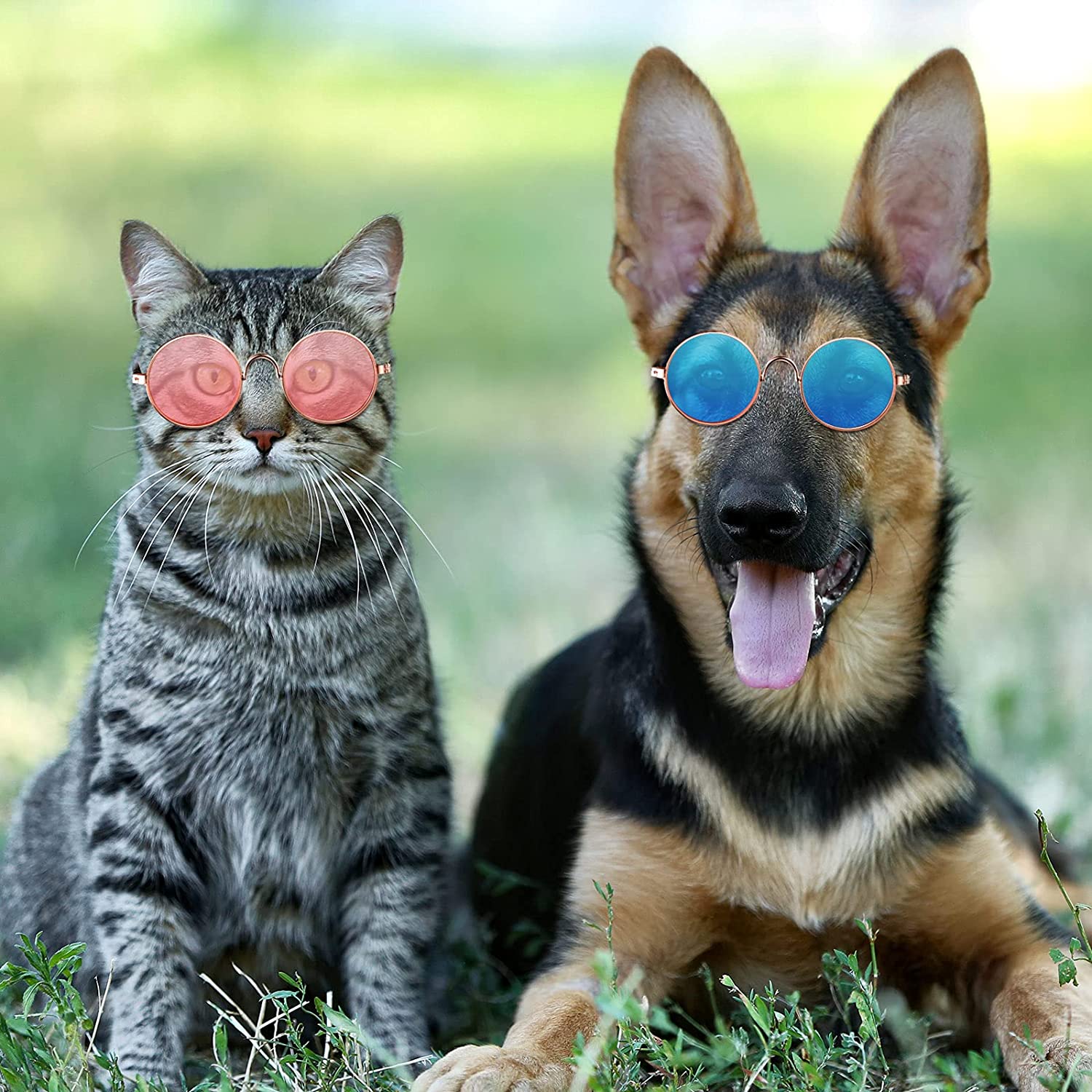 Pet SunGlasses for Dogs and Cats (Lennon Style)