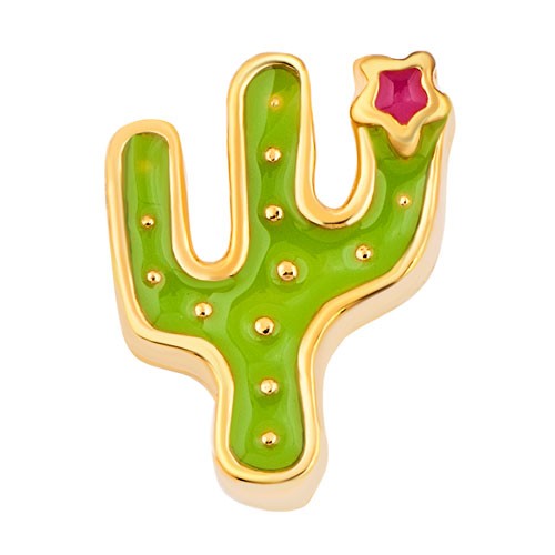 Cactus Charm